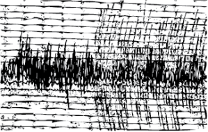 A sample seismograph reading - a potential resultant image produced by the hydrographs.