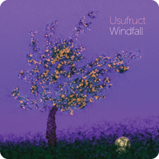 Windfall_225
